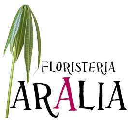 Floristería Aralia